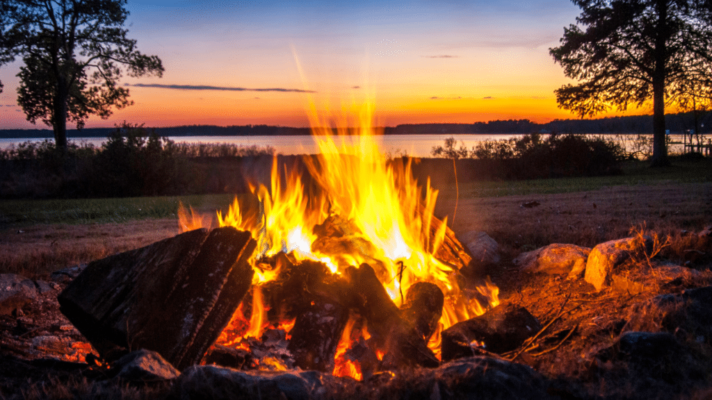 Can You Burn Plywood In A Fire Pit? Here's The Truth!