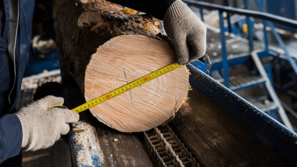 Wood Lathe Speed Chart: Everything You Must Know