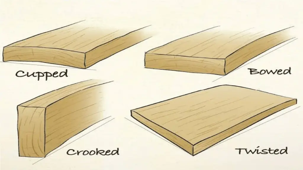 Does Plywood Warp When Wet? Here's The Truth!